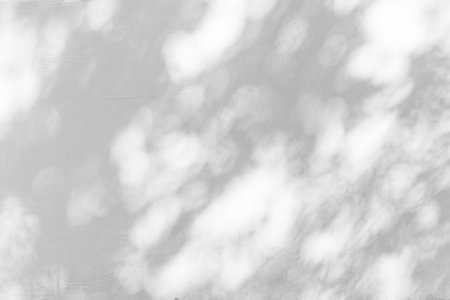 Gray shadow of natural leaves tree and tree trunk falling on white concrete wall for background design and wallpaperの写真素材