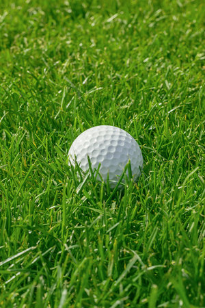 Golf ball lies in the grass and shimmers in the sun. Delicate background for your designの写真素材