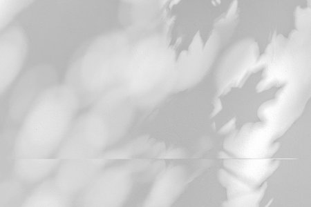 Shadow from dense foliage of maple tree on wall, light shadow from dense foliage and branches on wall. Summer, romance, relaxation.の写真素材