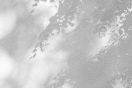 Shadow of leaves and branches of deciduous tree on white wall. Abstract neutral nature concept...