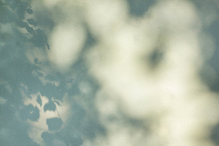 Picturesque shadow of tree leaves on white wall in rays of setting sun. Your background for design.