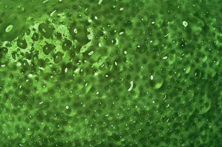 Green lime peel, zest background. Bright green citrus rind texture background for holidays and christmas.の写真素材