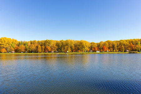 A pond or a river bend with trees on the bank, with yellow autumn leaves in clear weather and a blue sky. Silence, calm and rest.の写真素材
