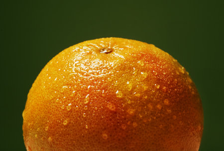 Large orange with numerous water drops close-up on dark green background. Macro shot with high-resolution photo.の写真素材