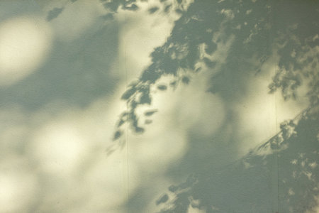 The abstract background is the soft shadows of tree branches and leaves cast by sunlight on a...
