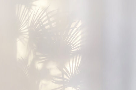background of white transparent curtains illuminated by soft sunlight. Hazy glow and subtle shadows....