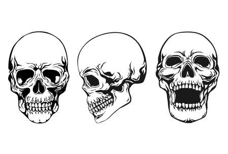skull setのイラスト素材
