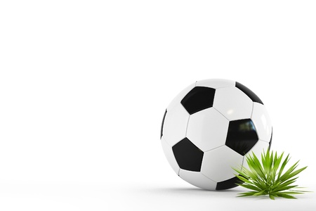 Leather soccer ball isolated on white background with a tuft of grassの写真素材
