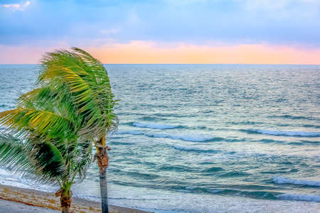 Sunrise over Ocean with Breeze on Palmsの写真素材