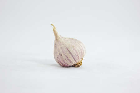 garlic 