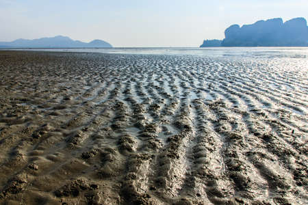 beachの写真素材