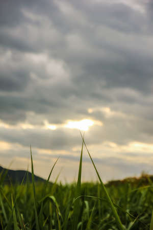 Sunset on the mountainの写真素材