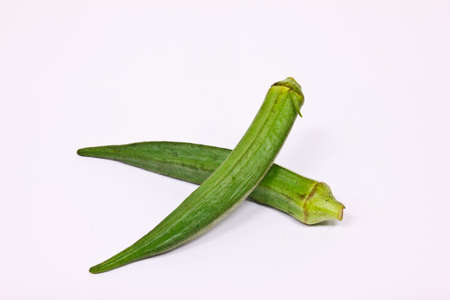 Roselleの写真素材