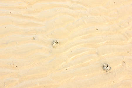 Sand Beachの写真素材