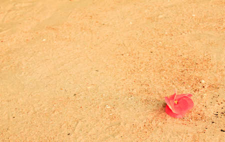sand beachの写真素材