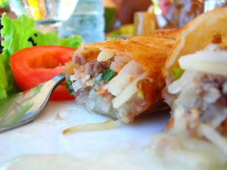 chinese springroll