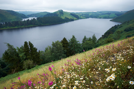 Llyn Clywedog Reservoir near Llanidloes Powys Walesの写真素材
