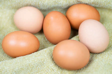 Chicken eggs.の写真素材