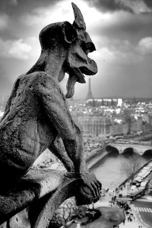 Gargoyle overlooking Parisの写真素材