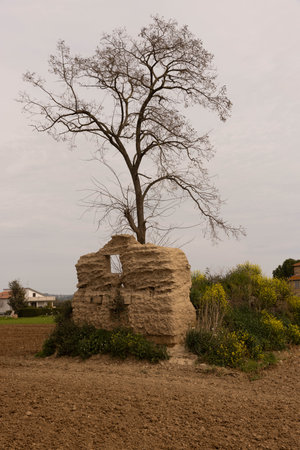 A house made up of mud, with a treeの写真素材