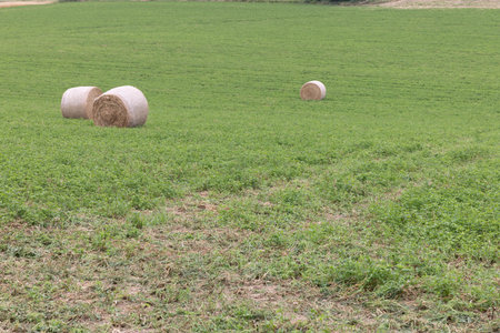 Some hay bales in a fieldの写真素材