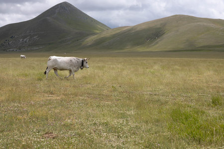 Campo Imperatore in Abruzzo, Italyの写真素材