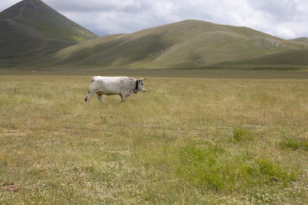 Campo Imperatore in Abruzzo, Italyの写真素材