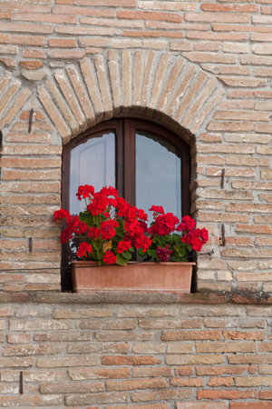 Flowers on the sill of a houseの写真素材