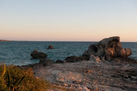 Beach in Madagascar shot during daytimeの写真素材