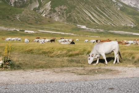 Gran Sasso d'Italia in Abrzzoの写真素材
