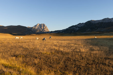 Gran Sasso at sunrise shot from Campo Imperatoreの写真素材