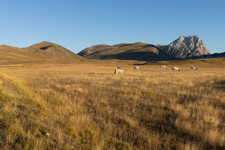 Gran Sasso at sunrise shot from Campo Imperatoreの写真素材