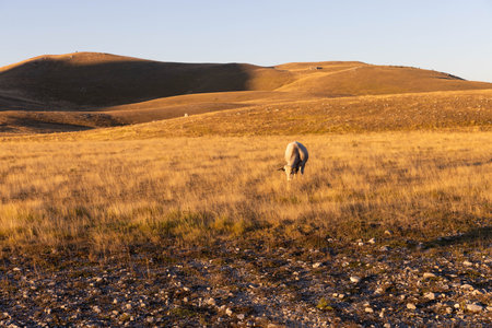 Gran Sasso at sunrise shot from Campo Imperatore