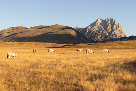Gran Sasso at sunrise shot from Campo Imperatoreの写真素材