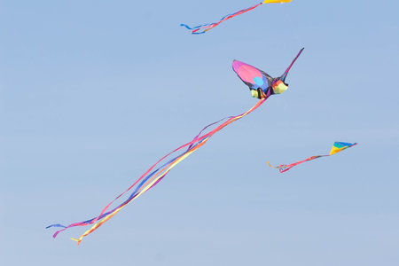 Kite flying in the blue skyの写真素材