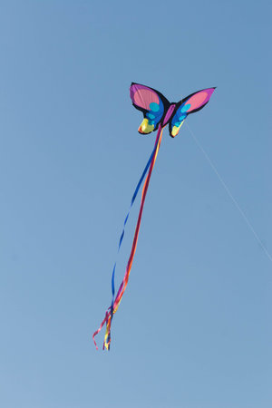 Kite flying in the blue skyの写真素材