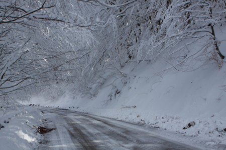 Street with snow at the sidesの写真素材