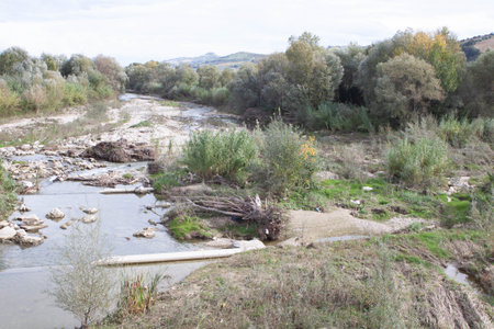 Salinello stream shot during a cloudy dayの写真素材