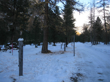 Snowy landscape shot during winterの写真素材