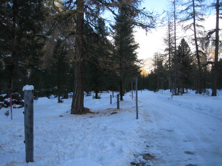 Snowy landscape shot during winterの写真素材