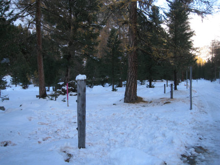 Snowy landscape shot during winterの写真素材