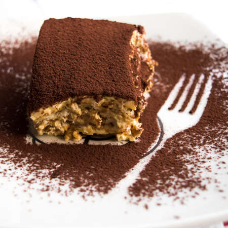 detail of a slice of tiramisu, a typical dessert of Italian culinary traditionの写真素材