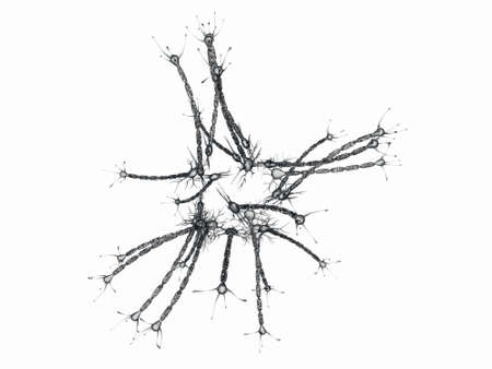 neurons isolated on white background