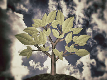 little tree in old grunge photo