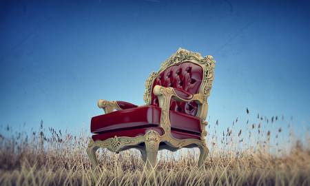 regal armchair on a dry field の写真素材