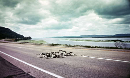dollar bills on a highway 

