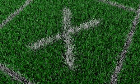 green fieldの写真素材