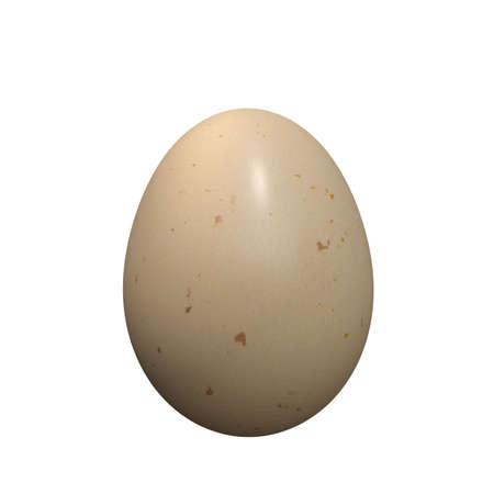 egg isolated on white background