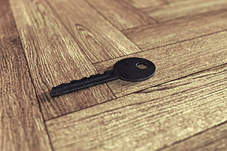 metal key on wooden floor