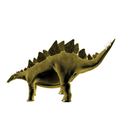 Stegosaurus isolated on white backgroundの写真素材